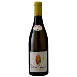 CROZES-HERMITAGE BLANC 2019 "AUX BÉTISES" DOMAINE LES BRUYERES