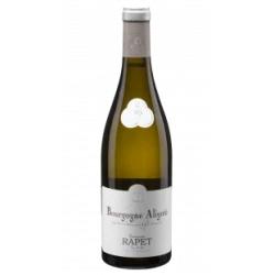 BOURGOGNE ALIGOTÉ 2023 DOMAINE RAPET