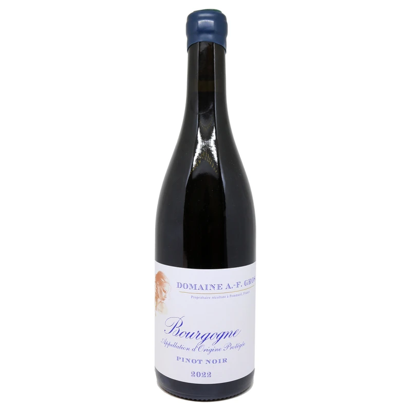 BOURGOGNE PINOT NOIR 2022  DOMAINE A.F GROS