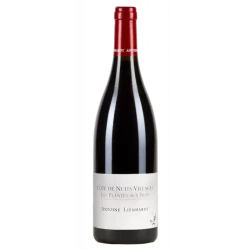 CÔTES DE NUITS ROUGE 2023 "LES PLANTES AUX BOIS" ANTOINE LIENHARDT