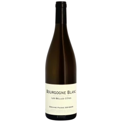 BOURGOGNE BLANC 2022 "LES BELLES CÔTES" DOMAINE PIERRE BOISSON