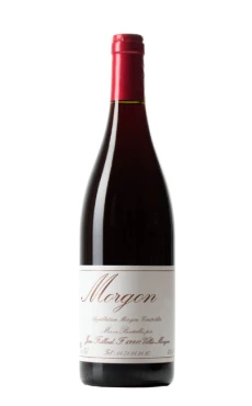 MORGON 2023 "VIEILLES VIGNES" DOMAINE JEAN FOILLARD